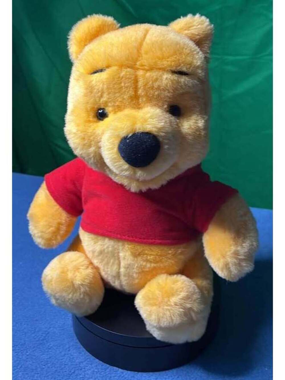 Disney Winnie the Pooh Plush Toy